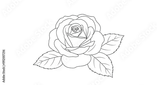 Beautiful and simple black and white line art illustration of a single blooming rose flower with detailed petals and attached leaves.