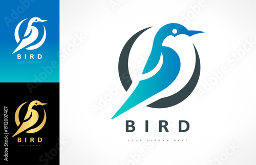 Bird logo vector. Bird in flight design	