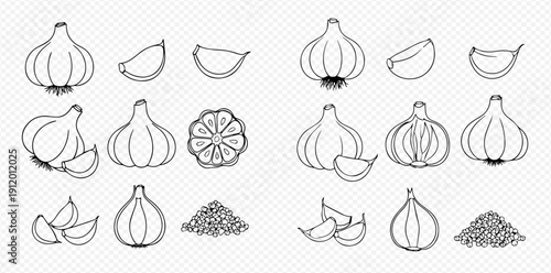 A collection of garlic line art illustrations including whole bulbs, cloves, slices, and powder.