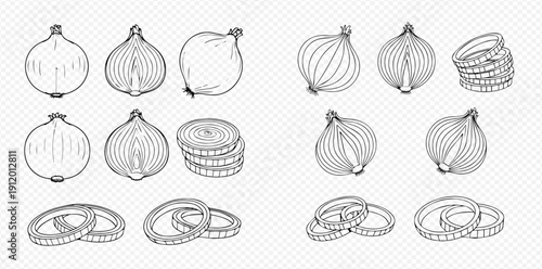 Hand-drawn sketch set of whole and sliced onions and onion rings, perfect for culinary designs and food illustrations.