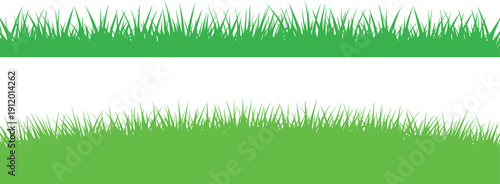 Green grass silhouette on white background blades