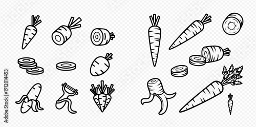 Set of hand-drawn carrot illustrations in various forms, including whole, sliced, and peeled, on a transparent background.