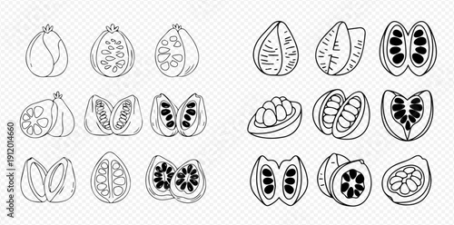 Set of Hand-Drawn Pomegranate and Cupuacu Fruit Illustrations, Whole and Sliced, in Outline Style.