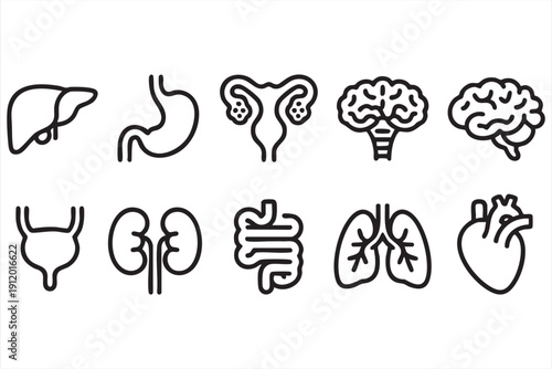 Simple medical vector icons for educational materials