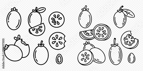 Feijoa fruit outline vector set: whole, sliced, and bitten pieces, perfect for healthy food designs and illustrations.