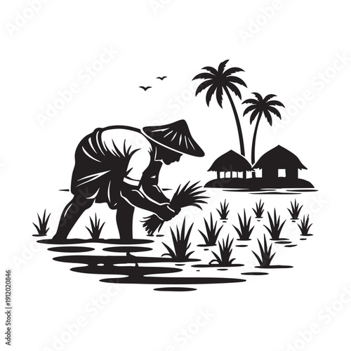 Farmer in the field silhouette traditional rice cultivation