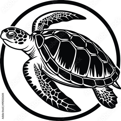 A blank white canvas with nothing on it