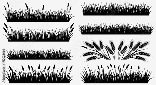 Set of Various Wild Grass and Wheat Silhouettes