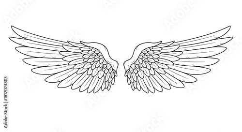 Large Majestic Angel Wings Outspread Sketch
