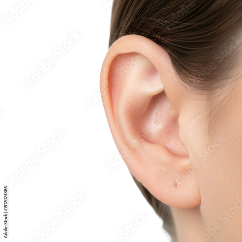 Close up of human ear with brown hair