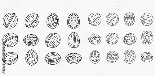 Set of outline walnut icons, whole and cracked nuts, kernel, healthy snack, vector illustration.