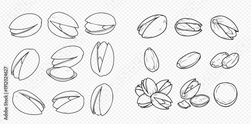 Hand-drawn sketch set of pistachios in various forms, including whole, shelled, and cracked nuts, perfect for healthy snack illustrations.