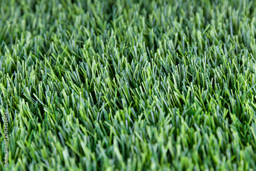 Close-up of mown lawn grass