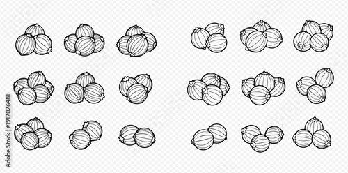 Set of hand-drawn black and white peppercorns on a transparent background, perfect for culinary and spice-related designs.