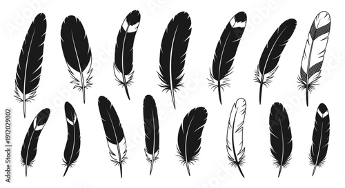 Mixed feather silhouettes and sketches collection