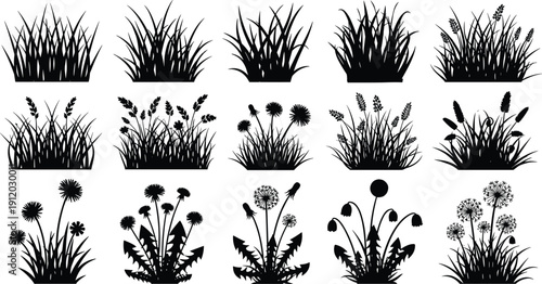Wildflower meadow border silhouette featuring field grass, summer flowers, botanical garden weeds, herbal plants, and nature floral elements in black white.