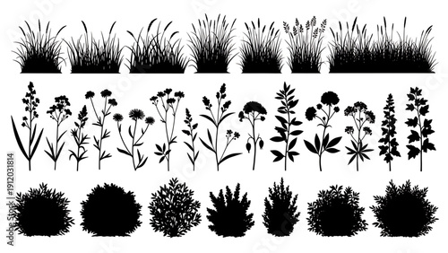 Collection of black silhouettes of various plants and flowers