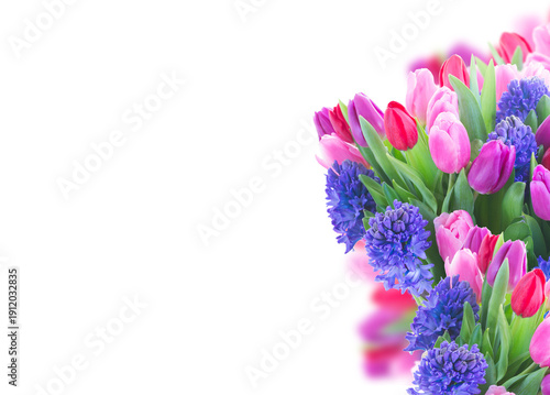 bouquet of   blue hyacinth and  tulips