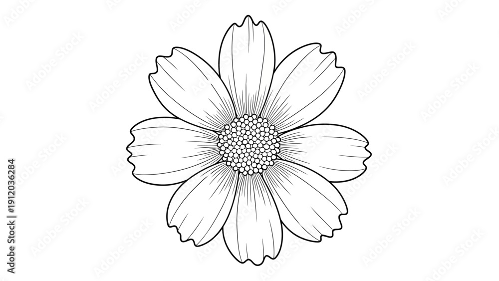 Fototapeta premium Black and white line art illustration of a single flower with multiple petals and a textured center, isolated on a white background.