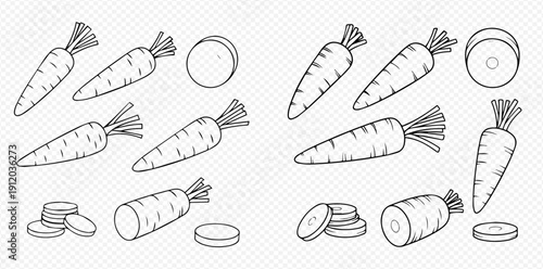 Outline of carrots, whole and sliced, showing various angles and arrangements of the vegetable.