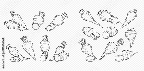 Hand-drawn sketch set of various root vegetables, including carrots and parsnips, whole and sliced, on a transparent background.