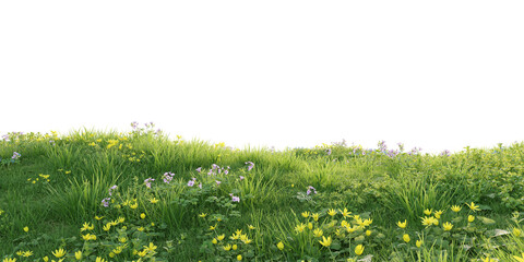 Acrylglasbilder Gras Grüner Hügel mit gelben Frühlingsblüten  © snesivan