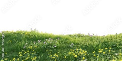 Verdant Hill Blooming with Yellow Flowers in Spring. 3D render.	
