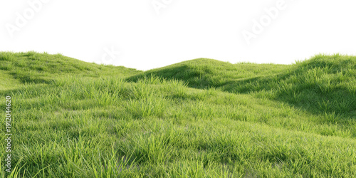 Foto Verdant Hill Blooming with Yellow Flowers in Spring. 3D render.