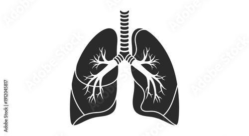 Anatomical illustration of human lungs with bronchial tree detail