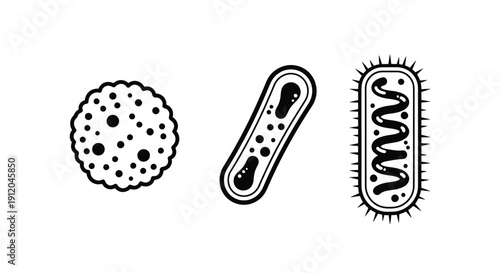 Three distinct bacterial cell shapes illustrated in black and white