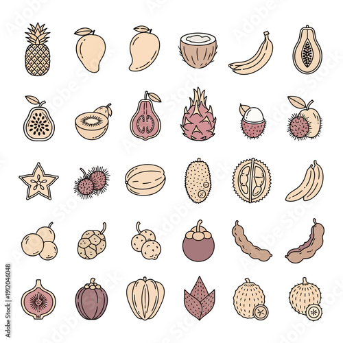 Outline Collection of Exotic and Tropical Fruits Icons including Pineapple, Mango, Dragon Fruit, Durian, and Banana on White Background