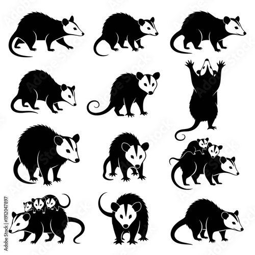 Opossum poses and silhouettes collection set