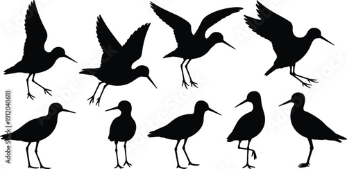Black Bird Silhouette Set Collection Featuring Various Species Flying Standing and Wading for Nature Wildlife Graphic Design and Environment Concept Art