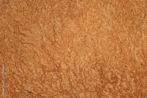 Foto Abstract texture background of brown coconut flesh or testa skin