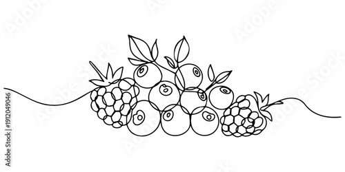 raspberries and blueberries continuous one line drawing, Continuous one line of wild berries mix strawberry raspberry blueberry blackberry in silhouette. Linear stylized.Minimalist, Label for jam pro.