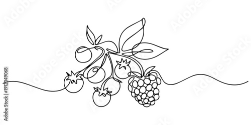 raspberries and blueberries continuous one line drawing, Continuous one line of wild berries mix strawberry raspberry blueberry blackberry in silhouette. Linear stylized.Minimalist, Label for jam pro.
