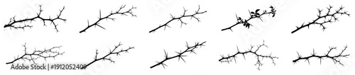 Collection of sharp thorny branches and dry twigs silhouettes for nature and religious themes