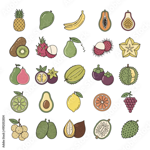 Tropical and Exotic Fruits Vector Icon Set: A Hand-Drawn Collection of Healthy Produce.
