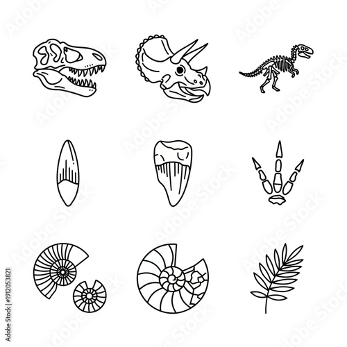 Paleontology Icons Set: Dinosaur Skulls, Skeletons, Fossils, Teeth, and Ammonites in Outline Style.