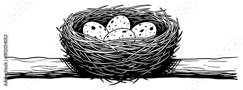 Detailed vintage woodcut style illustration of a natural bird nest with spotted eggs on a tree branch