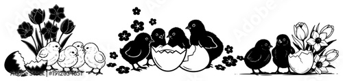 Collection of cute baby chicks hatching in spring flower meadow silhouette vector