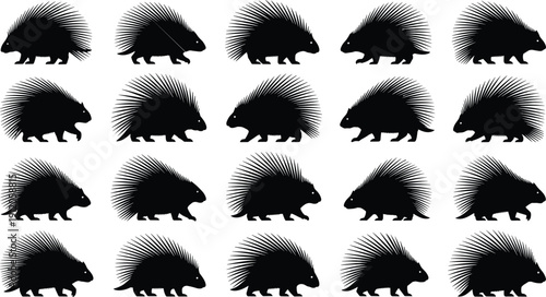 Black silhouette porcupine animal icons set, wildlife vector illustration collection, spiky quill mammal design elements, nature forest creature isolated pattern