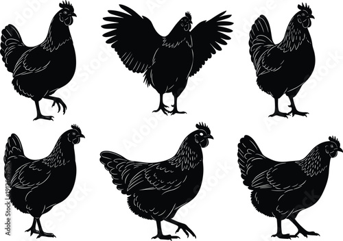 Black And White Vector Silhouette Set Of Six Hens And Roosters Featuring Various Standing Walking And Wing Spreading Poses For Farm Agricultural Industry Design