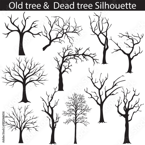 Set of Various Old and Dead Tree Silhouettes Isolated on White