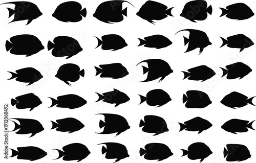Large collection of tropical fish silhouettes, exotic sea life icons set, coral reef aquatic animals, underwater marine world decorative vector design.