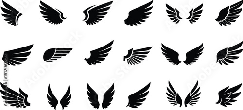 Set of black wing silhouettes, angel and bird feather icons, flying heraldic elements, eagle wing collection, decorative flight design vector symbols.