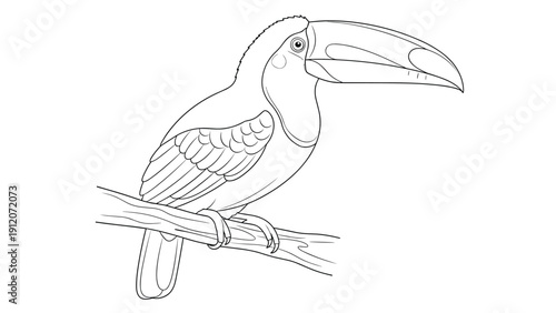 Detailed line art illustration of a toucan bird with its large beak perched calmly on a tree branch for coloring activities.