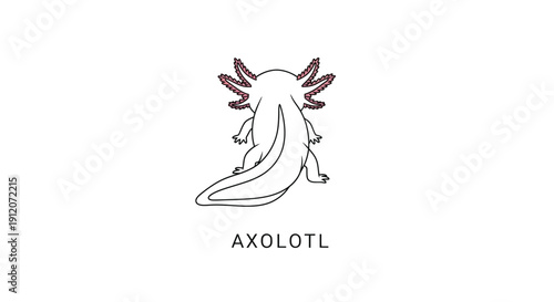 A minimalist line drawing depicts an axolotl with its name below