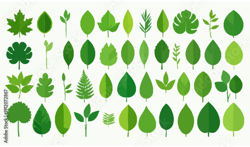 Flat green leaf vector icon collection for eco organic vegan branding