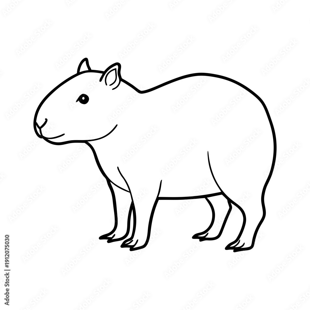 Fototapeta premium capybara animal lineart illustration on white background